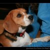 20080125_138